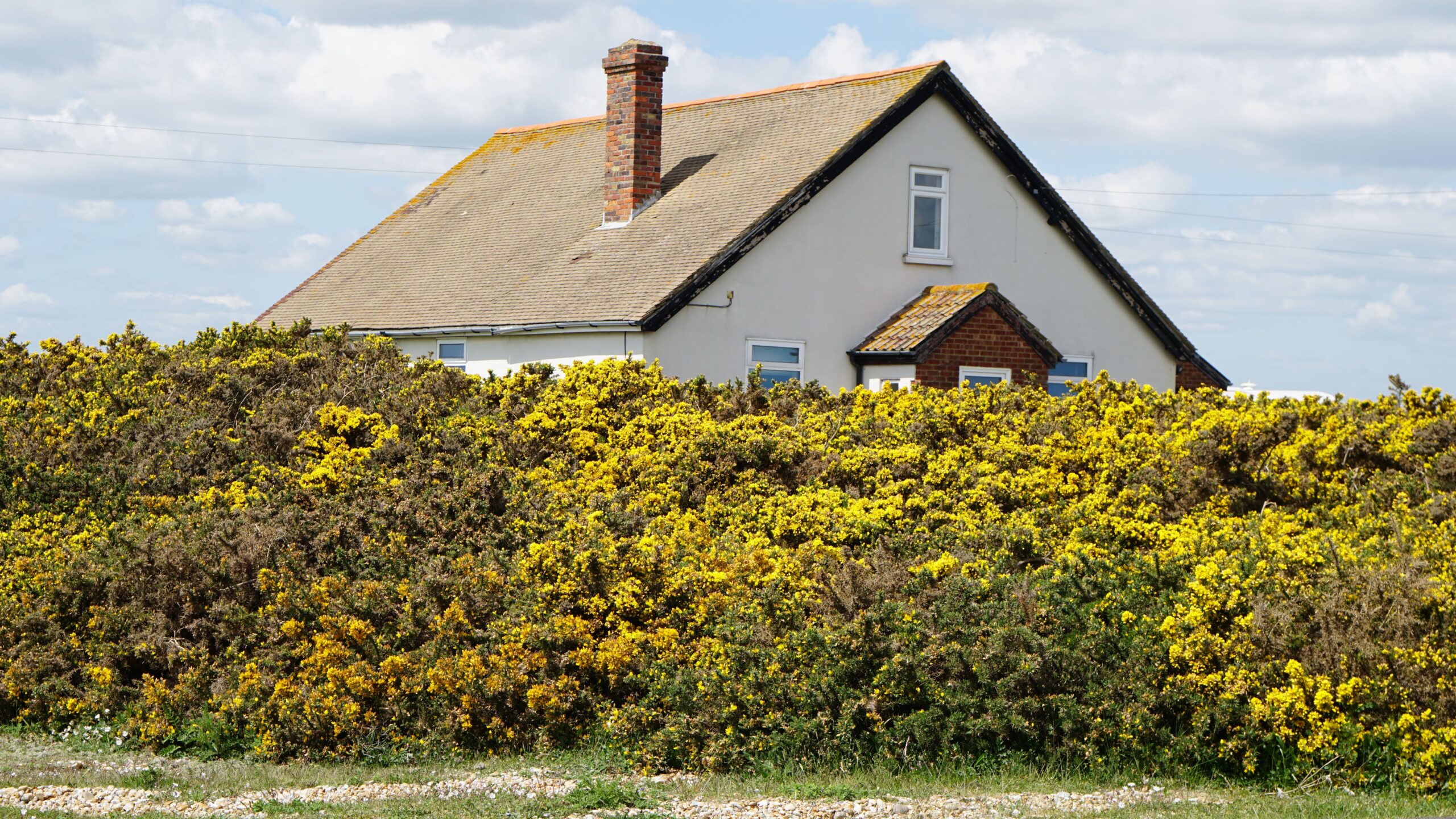 Your Premier Choice for Local Chimney Repair Services